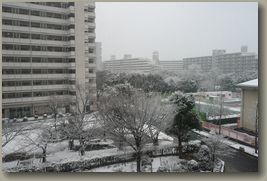 大阪雪景色1.jpg