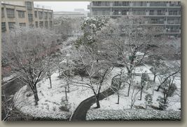 大阪雪景色5.jpg